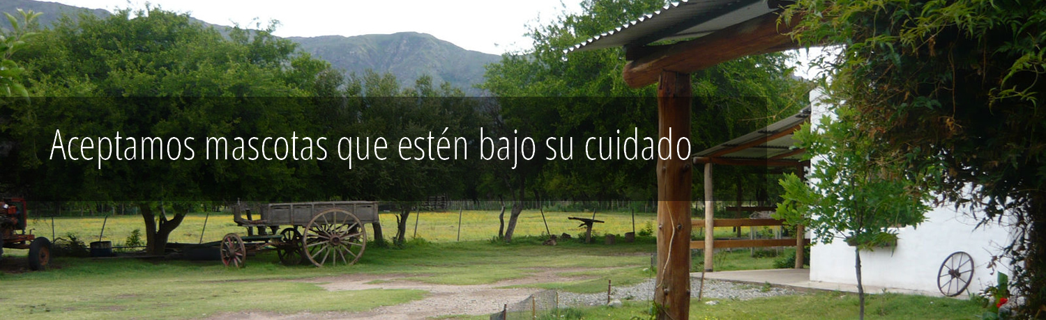 imagenes merlo san luis